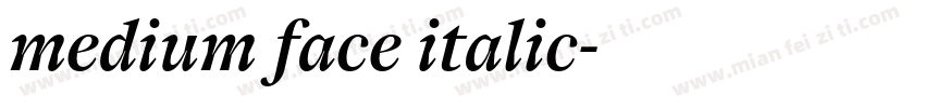 medium face italic字体转换